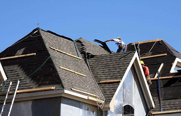 Best Roof Maintenance Services  in Wedgefield, FL
